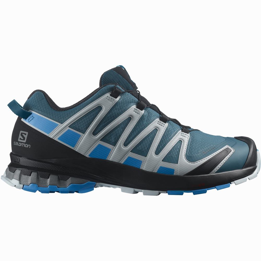 Chaussures Randonnée Salomon Xa Pro 3d V8 Gore-tex Homme Bleu | France-4275368