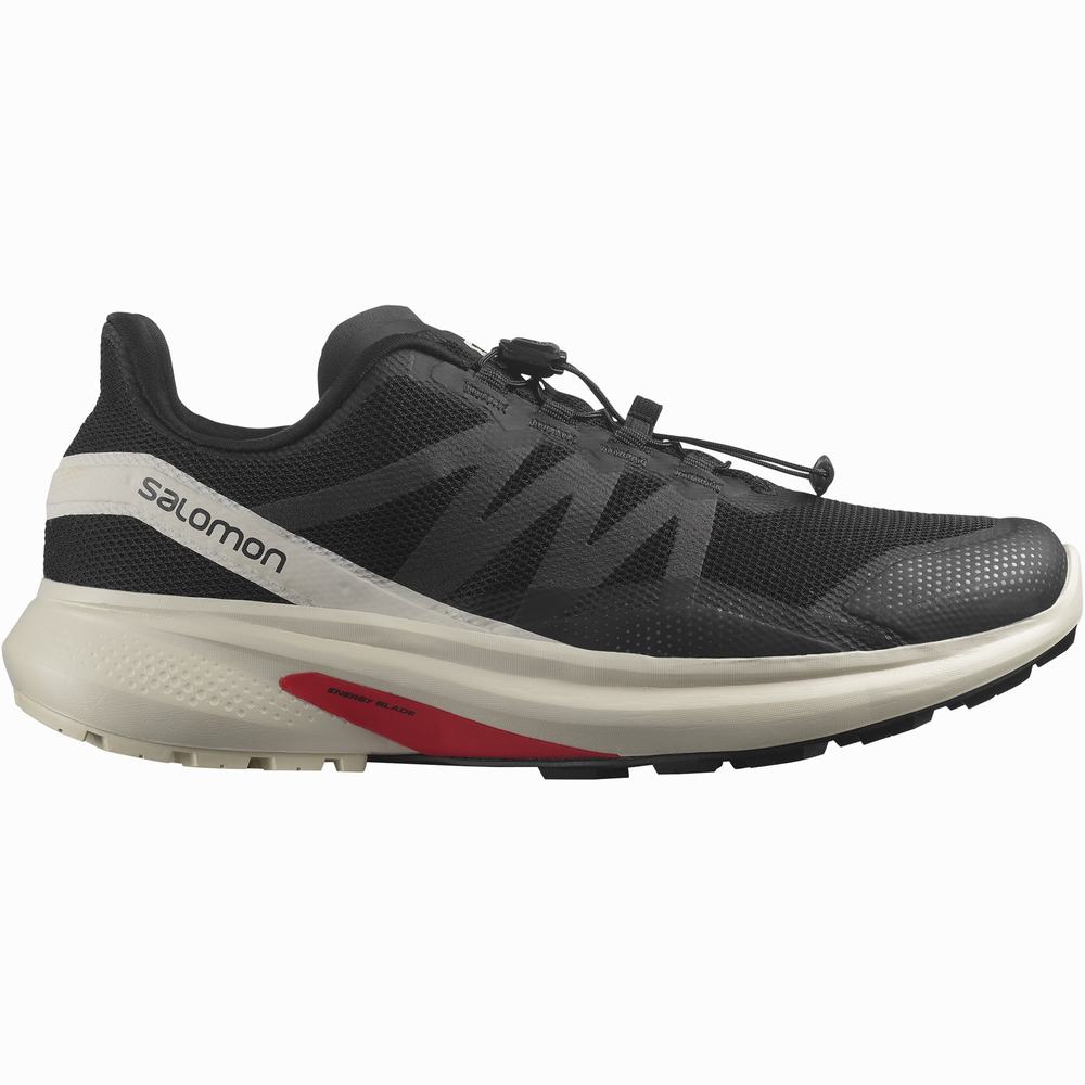 Chaussures Trail Running Salomon Hypulse Homme Noir | France-9406521