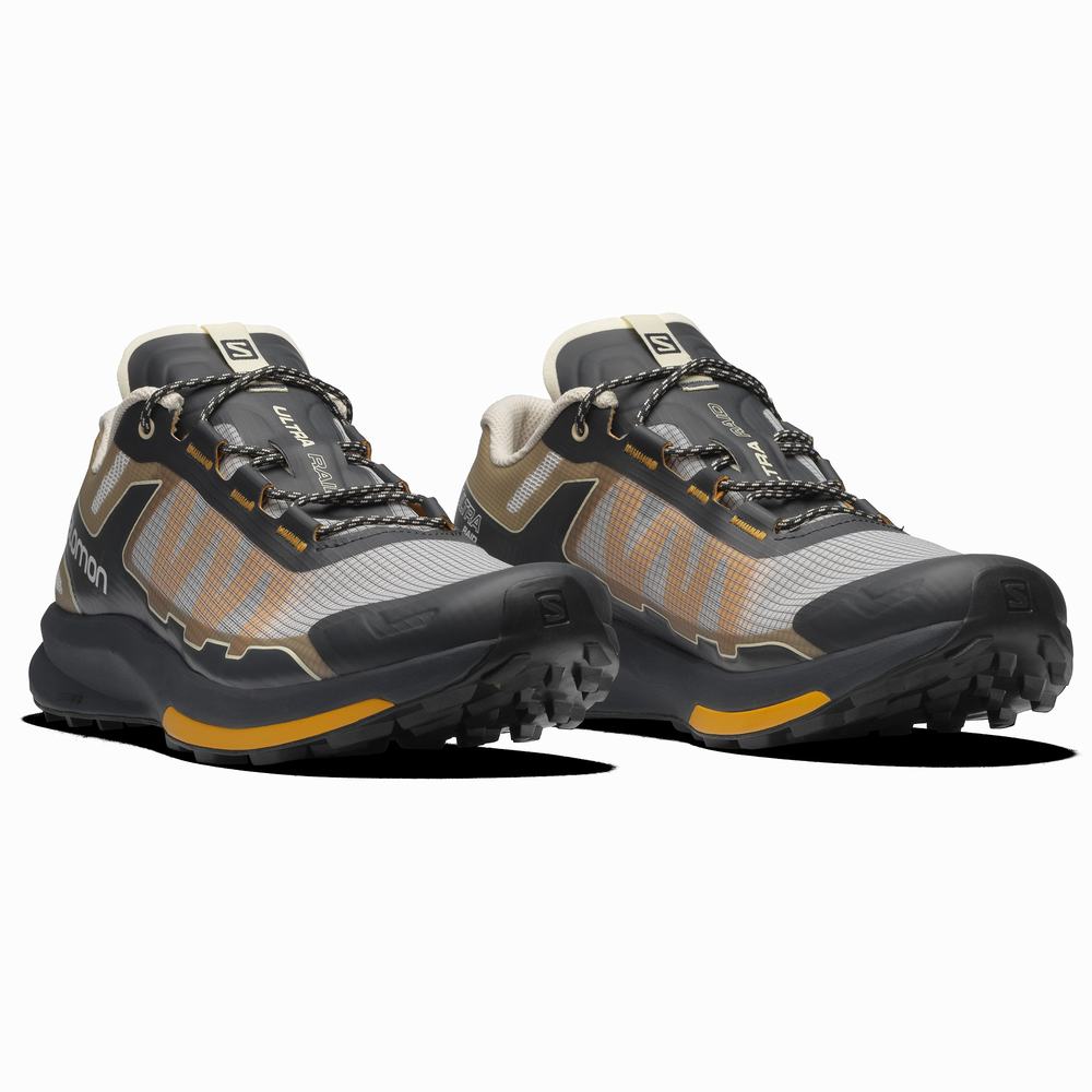 Baskets Salomon Ultra Raid Femme Grise Marron Noir | France-8560432