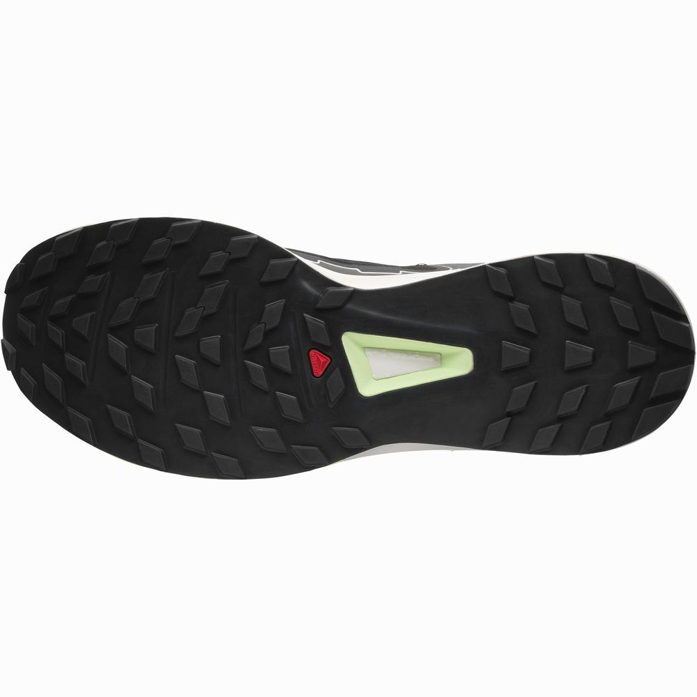 Baskets Salomon Ultra Raid Femme Noir Blanche Vert | France-0358246