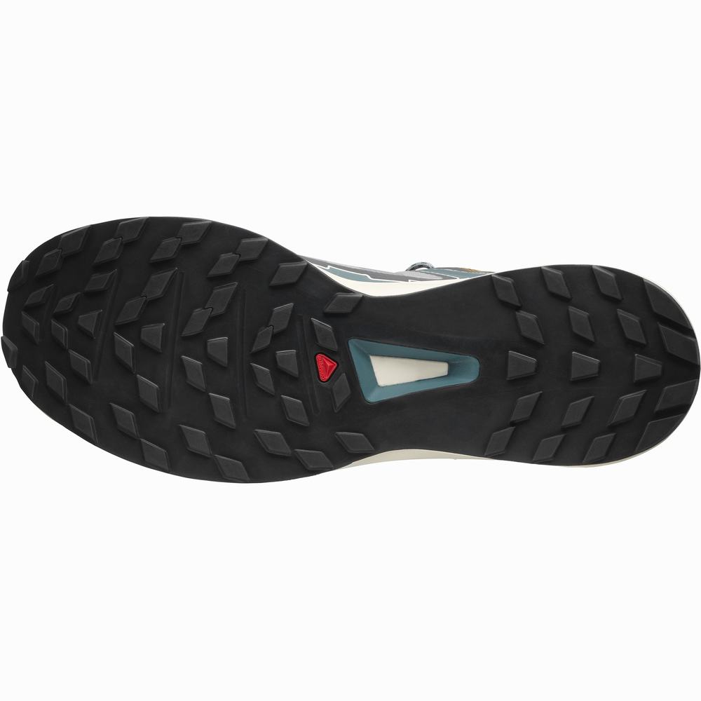 Baskets Salomon Ultra Raid Homme Grise Bleu | France-3795081