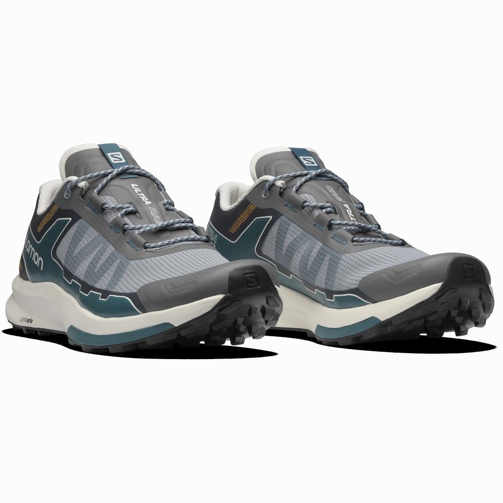 Baskets Salomon Ultra Raid Homme Grise Bleu | France-3795081