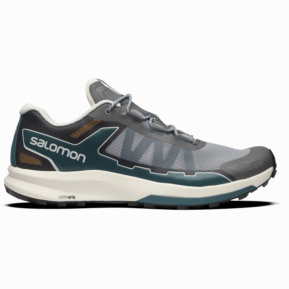 Baskets Salomon Ultra Raid Homme Grise Bleu | France-3795081