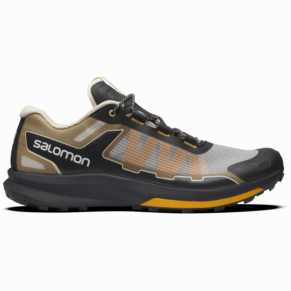 Baskets Salomon Ultra Raid Homme Grise Noir | France-3027945