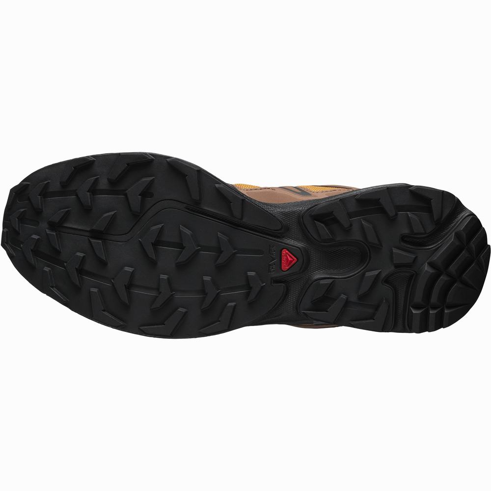 Baskets Salomon Xt-6 Expanse 75th Femme Doré Noir | France-8537109