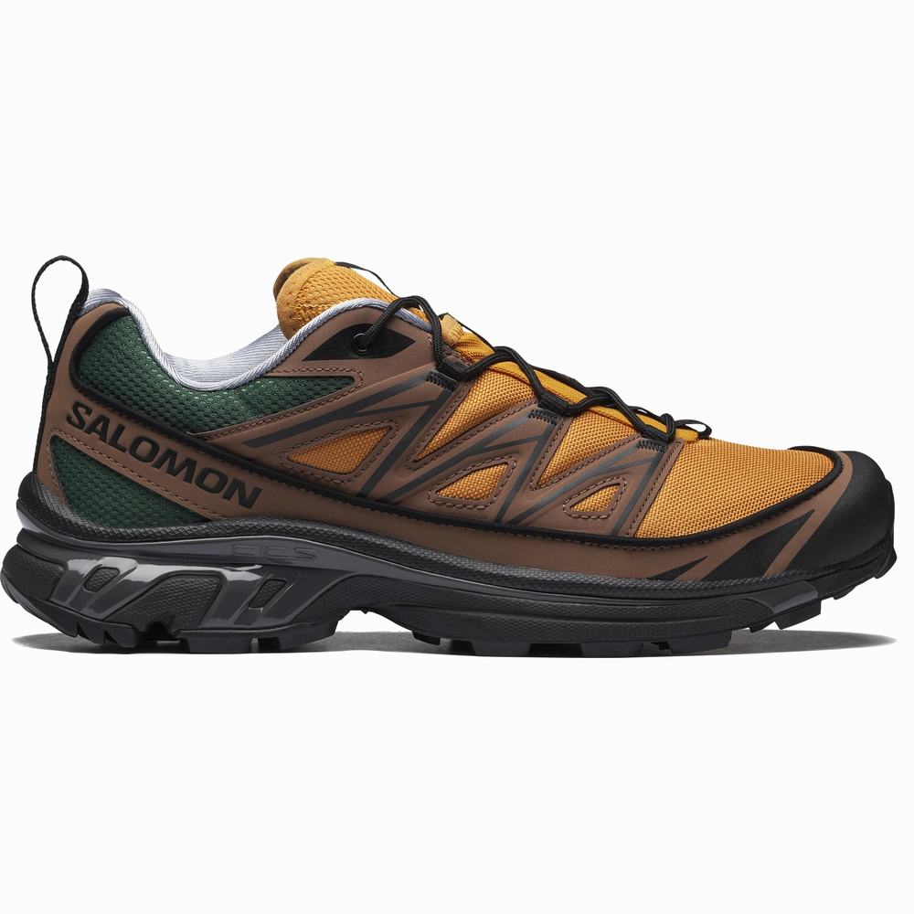 Baskets Salomon Xt-6 Expanse 75th Femme Doré Noir | France-8537109