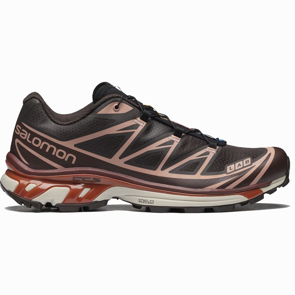 Baskets Salomon Xt-6 Femme Chocolat Beige | France-1604283