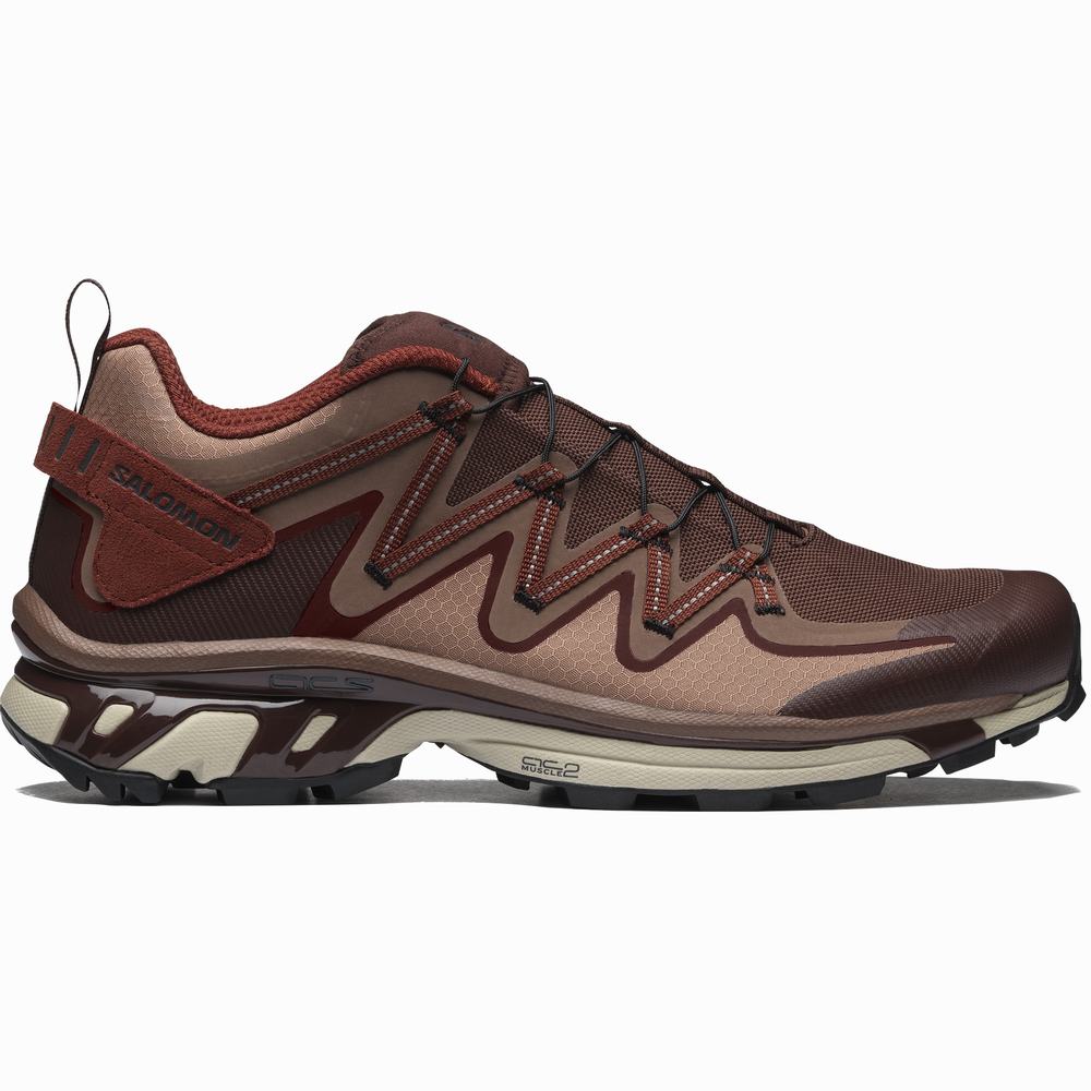 Baskets Salomon Xt-rush Utility Homme Chocolat | France-8521364