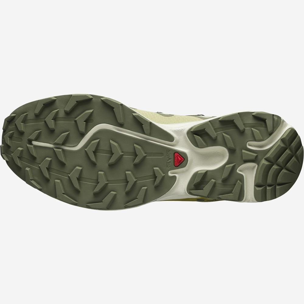 Baskets Salomon Xt-rush Utility Homme Grise Vert Vert Foncé | France-4296873