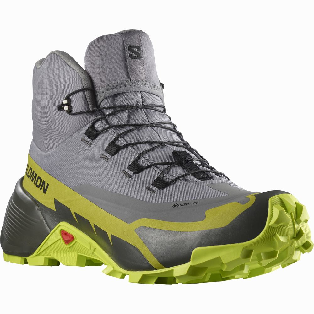 Bottes Randonnée Salomon Cross Hike 2 Mid Gore-tex Homme Grise Vert Clair | France-1409756