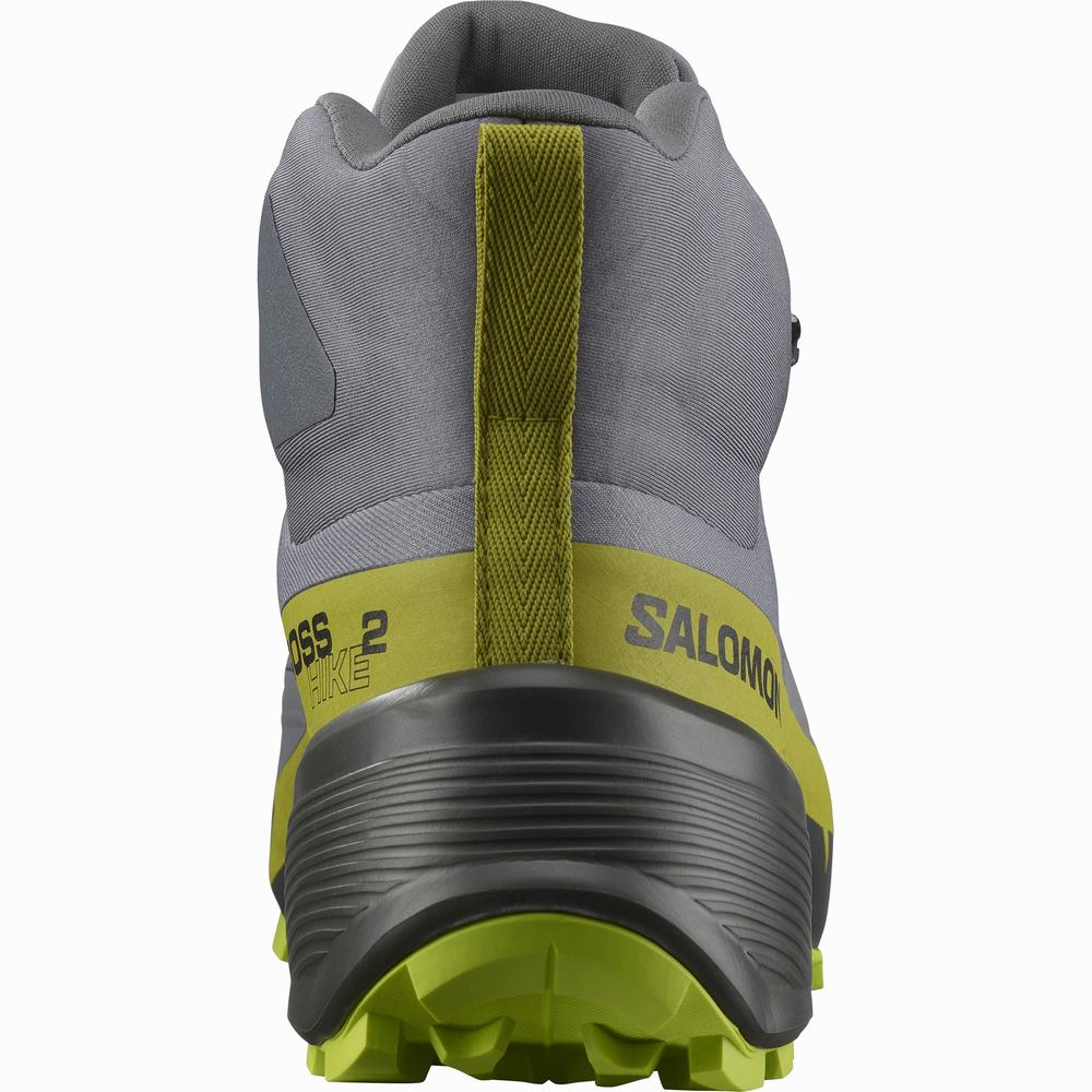 Bottes Randonnée Salomon Cross Hike 2 Mid Gore-tex Homme Grise Vert Clair | France-1409756