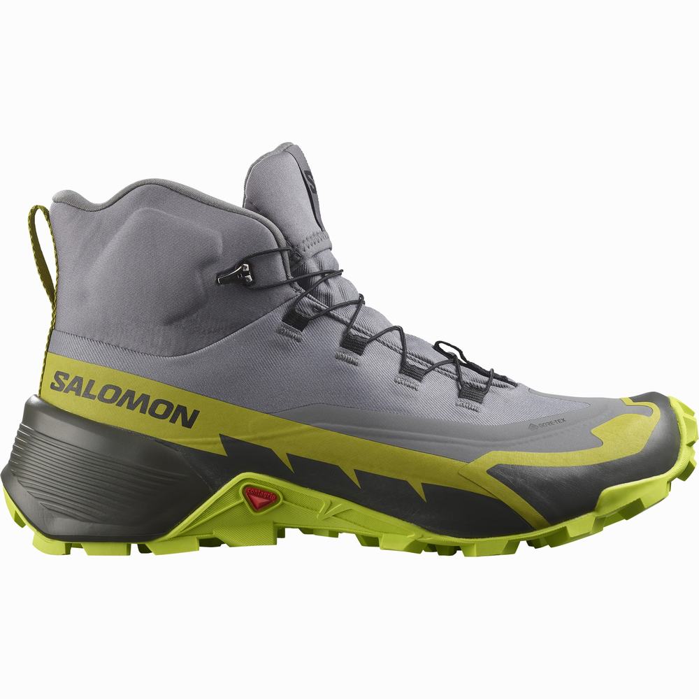 Bottes Randonnée Salomon Cross Hike 2 Mid Gore-tex Homme Grise Vert Clair | France-1409756