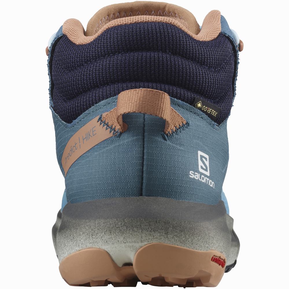 Bottes Randonnée Salomon Predict Hike Mid Gore-tex Femme Bleu | France-3268145