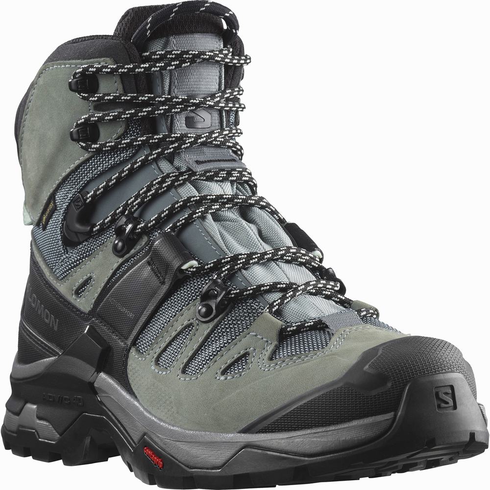 Bottes Randonnée Salomon Quest 4 Gore-tex Femme Bleu Noir | France-0618427