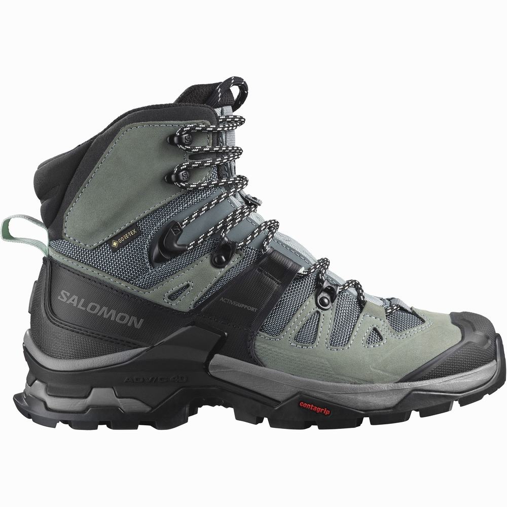 Bottes Randonnée Salomon Quest 4 Gore-tex Femme Bleu Noir | France-0618427