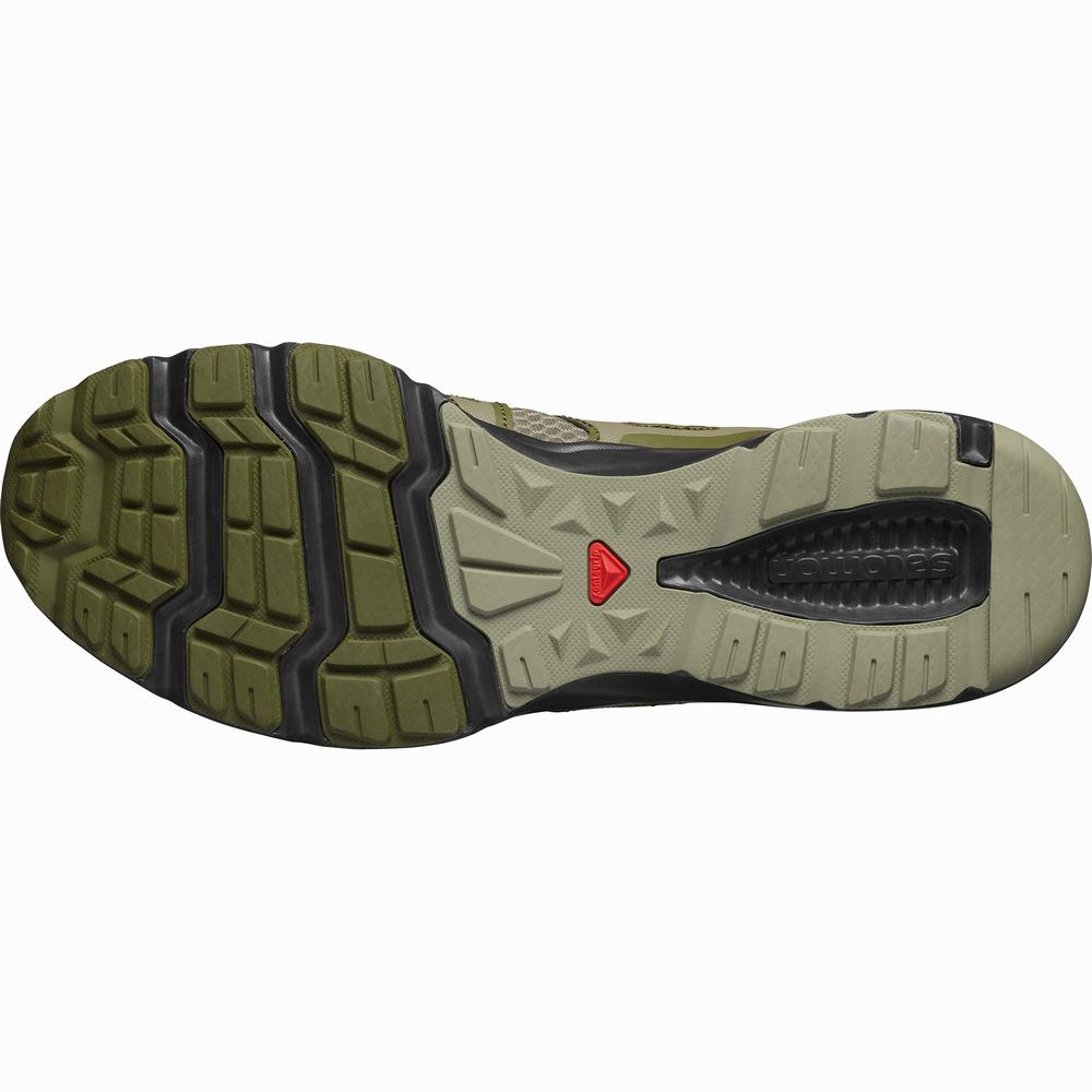 Chaussures D'eau Salomon Crossamphibian Swift 2 Homme Vert Olive Noir | France-2379514