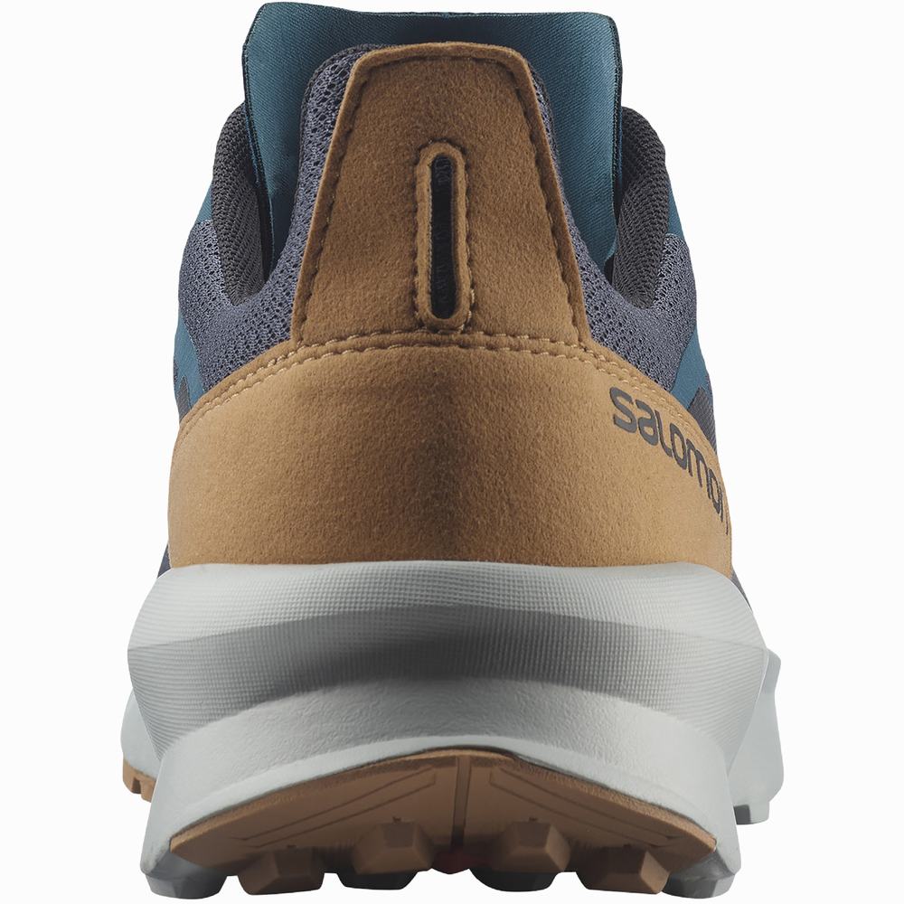 Chaussures Randonnée Salomon Patrol Homme Bleu Marron | France-5169407