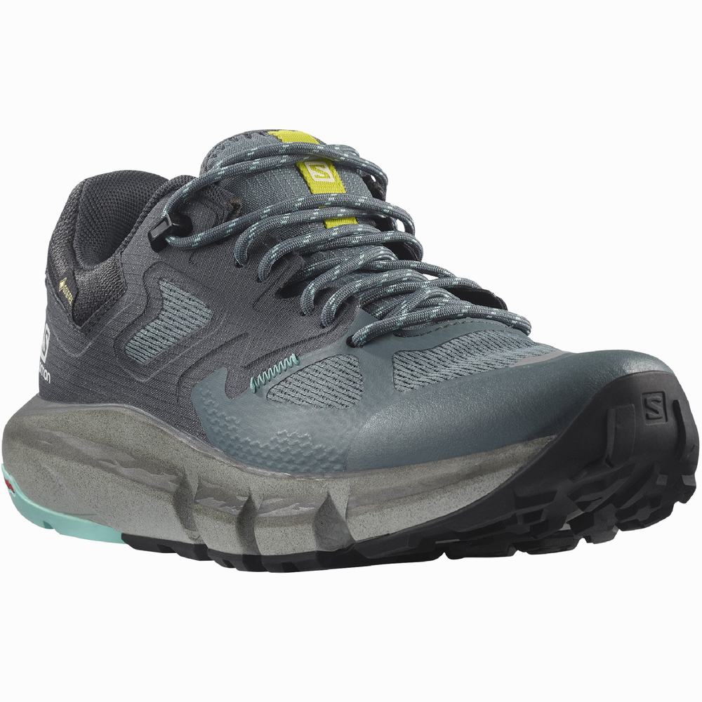 Chaussures Randonnée Salomon Predict Hike Gore-tex Femme Bleu Marine Turquoise | France-8574901