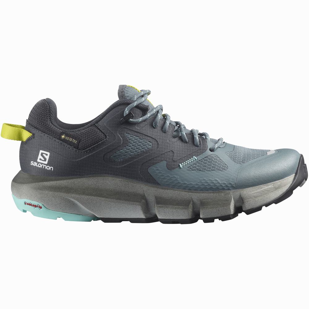 Chaussures Randonnée Salomon Predict Hike Gore-tex Femme Bleu Marine Turquoise | France-8574901