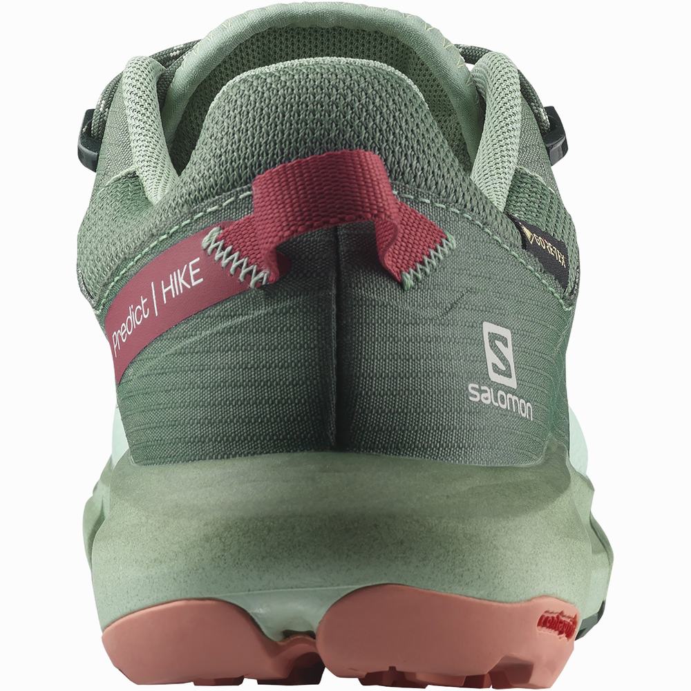 Chaussures Randonnée Salomon Predict Hike Gore-tex Femme Vert | France-9648301