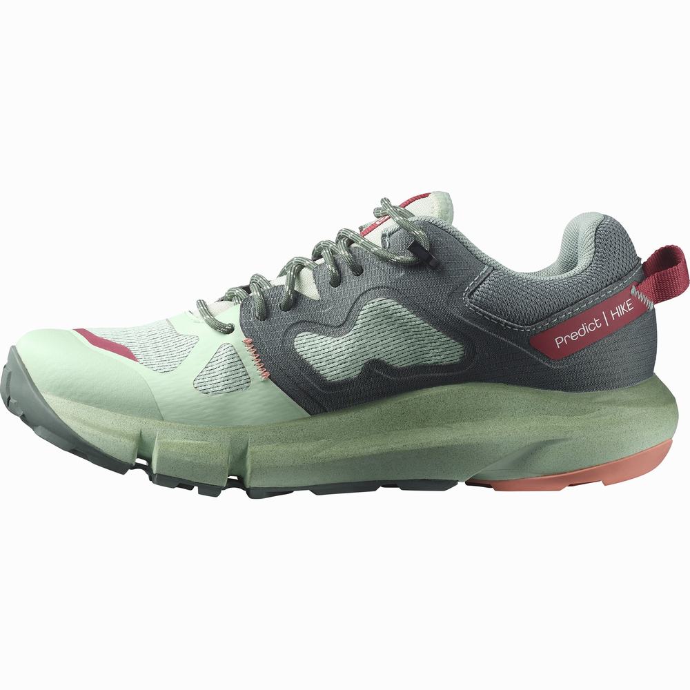 Chaussures Randonnée Salomon Predict Hike Gore-tex Femme Vert | France-9648301