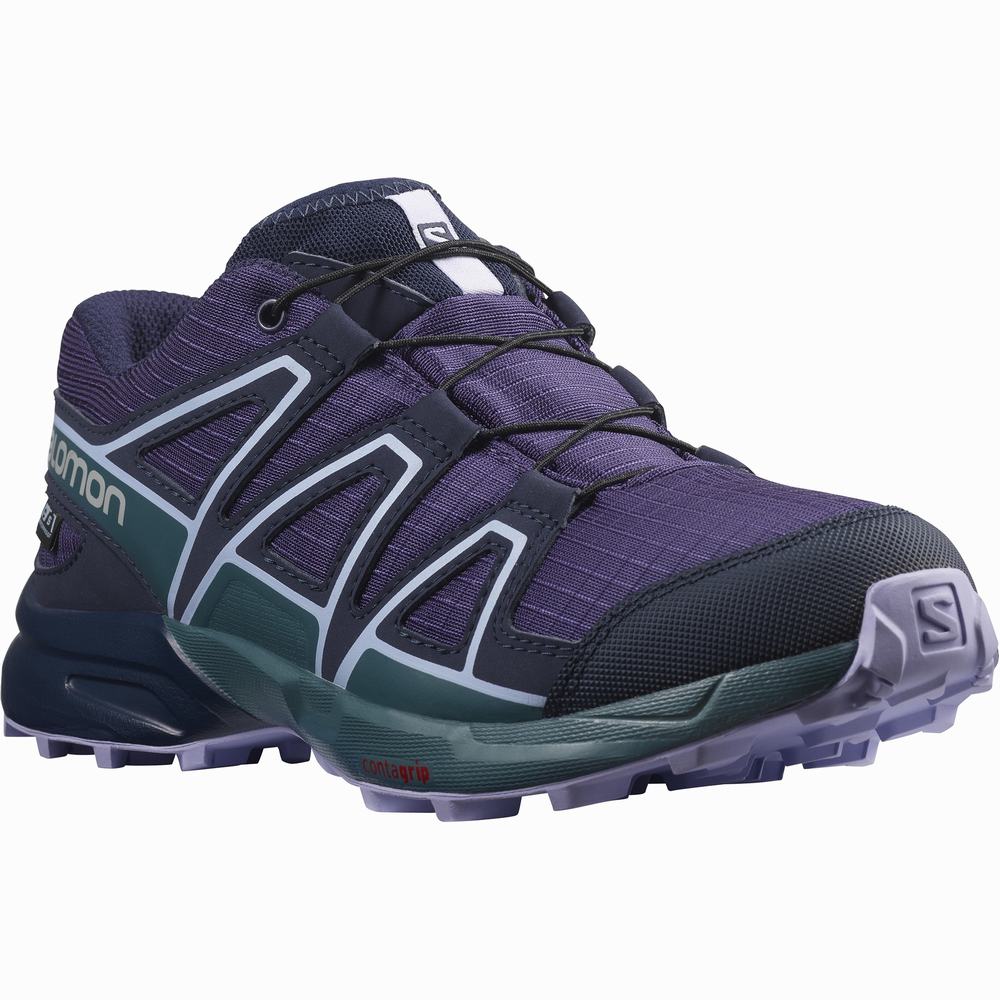 Chaussures Randonnée Salomon Speedcross Climasalomon™ Imperméables Enfant Violette Bleu Lavande | France-0673982