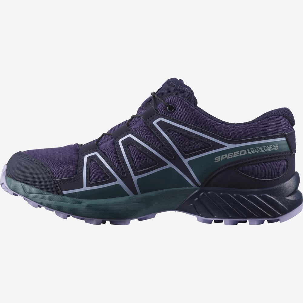 Chaussures Randonnée Salomon Speedcross Climasalomon™ Imperméables Enfant Violette Bleu Lavande | France-0673982