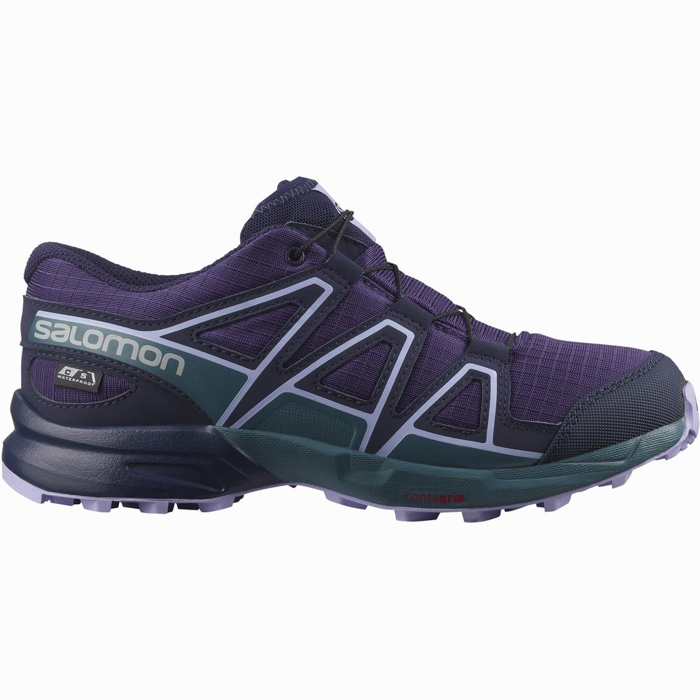 Chaussures Randonnée Salomon Speedcross Climasalomon™ Imperméables Enfant Violette Bleu Lavande | France-0673982