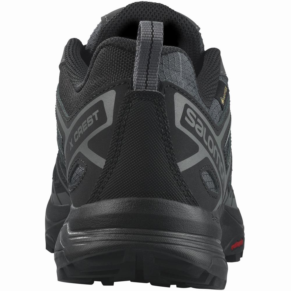 Chaussures Randonnée Salomon X Crest Gore-tex Homme Noir | France-8923641