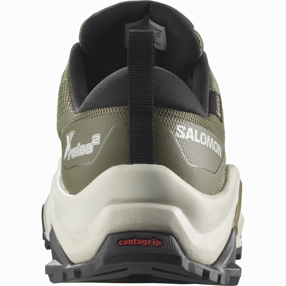 Chaussures Randonnée Salomon X Raise 2 Gore-tex Homme Vert Foncé | France-1236985