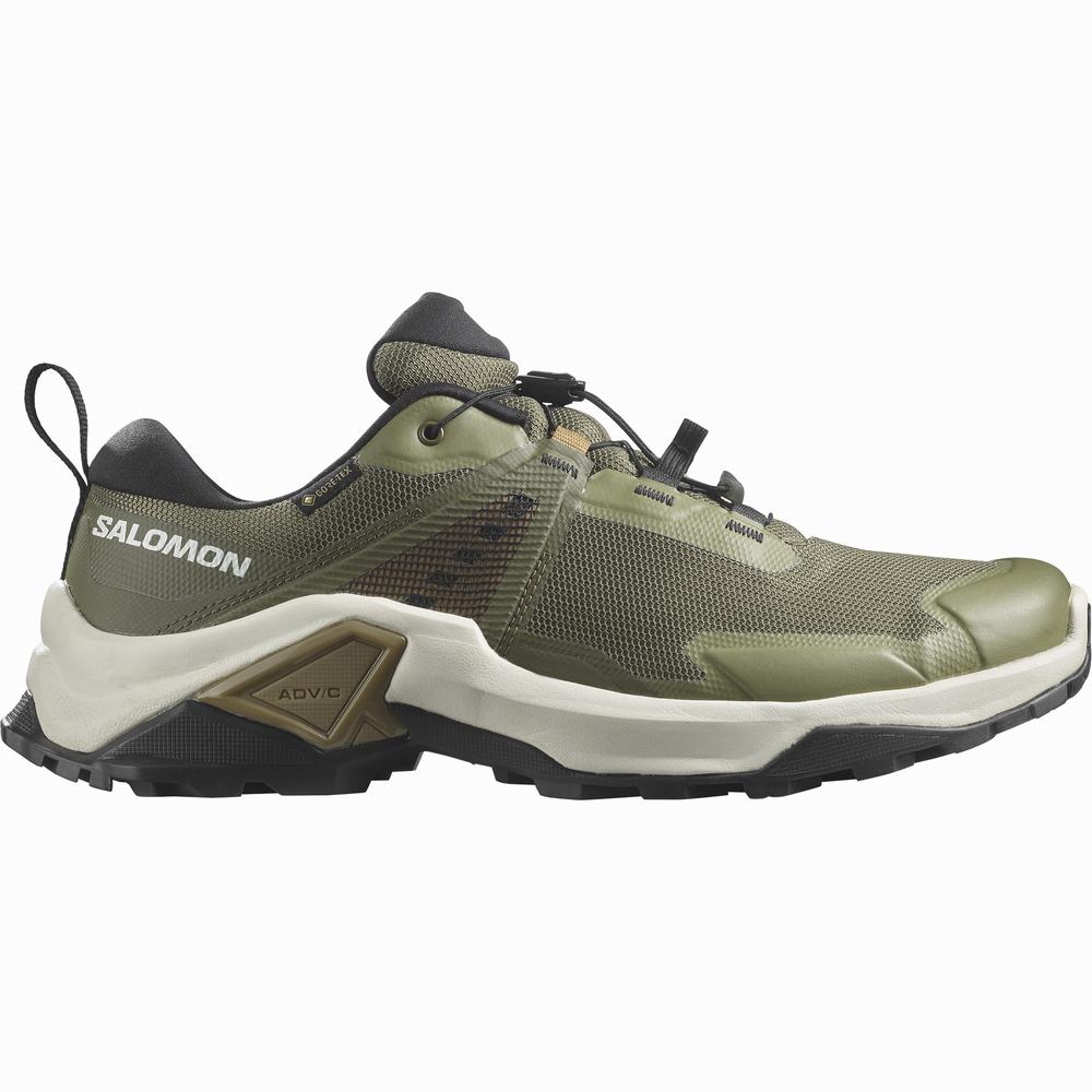 Chaussures Randonnée Salomon X Raise 2 Gore-tex Homme Vert Foncé | France-1236985