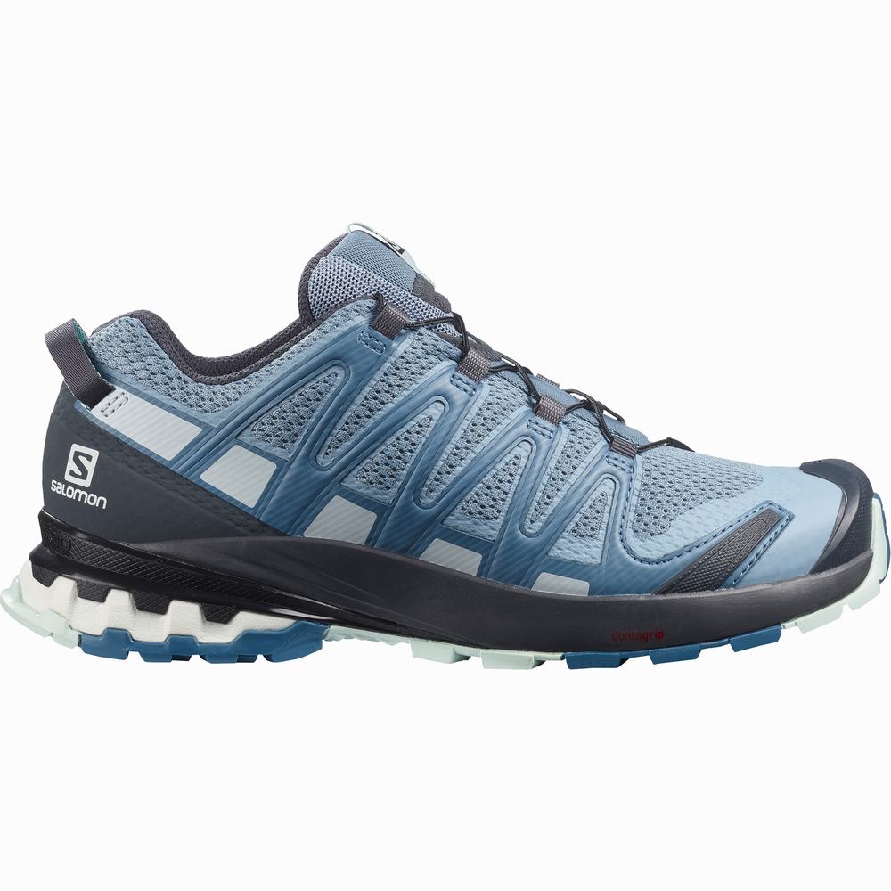 Chaussures Randonnée Salomon Xa Pro 3d V8 Femme Grise Bleu Bleu | France-0268395