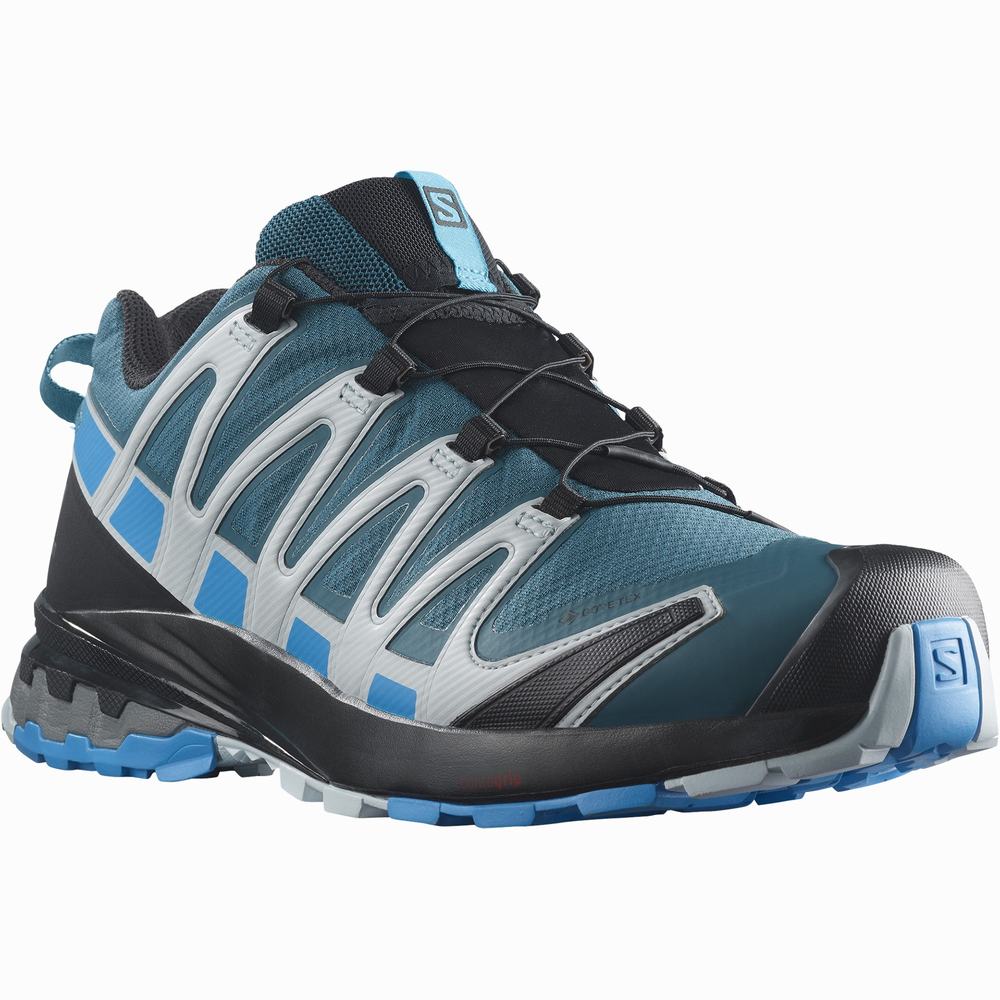 Chaussures Randonnée Salomon Xa Pro 3d V8 Gore-tex Homme Bleu | France-4275368