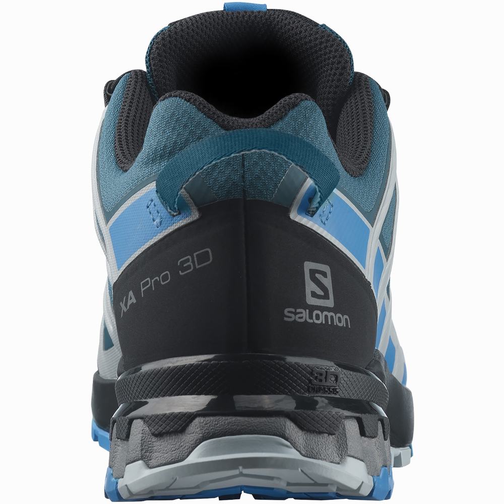 Chaussures Randonnée Salomon Xa Pro 3d V8 Gore-tex Homme Bleu | France-4275368