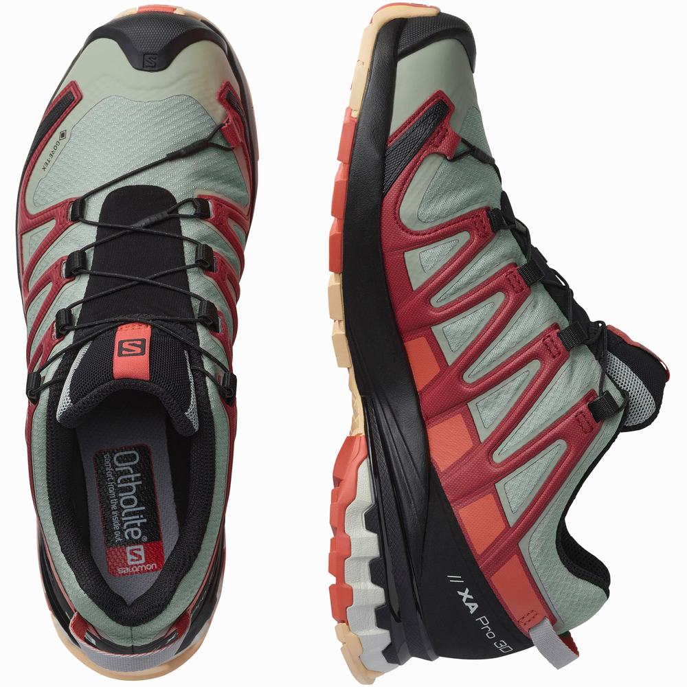 Chaussures Randonnée Salomon Xa Pro 3d V8 Gore-tex Femme Vert Rouge Foncé | France-4328671