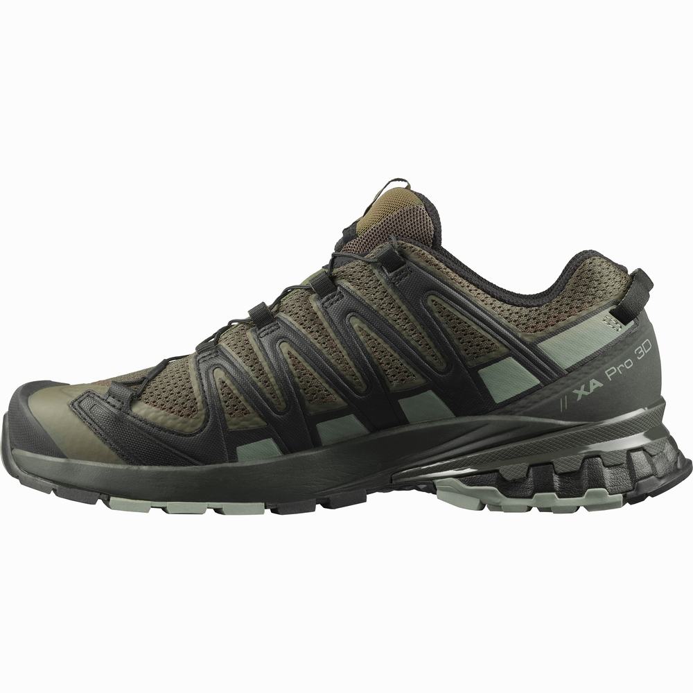 Chaussures Randonnée Salomon Xa Pro 3d V8 Larges Homme Violette Grise | France-4861705