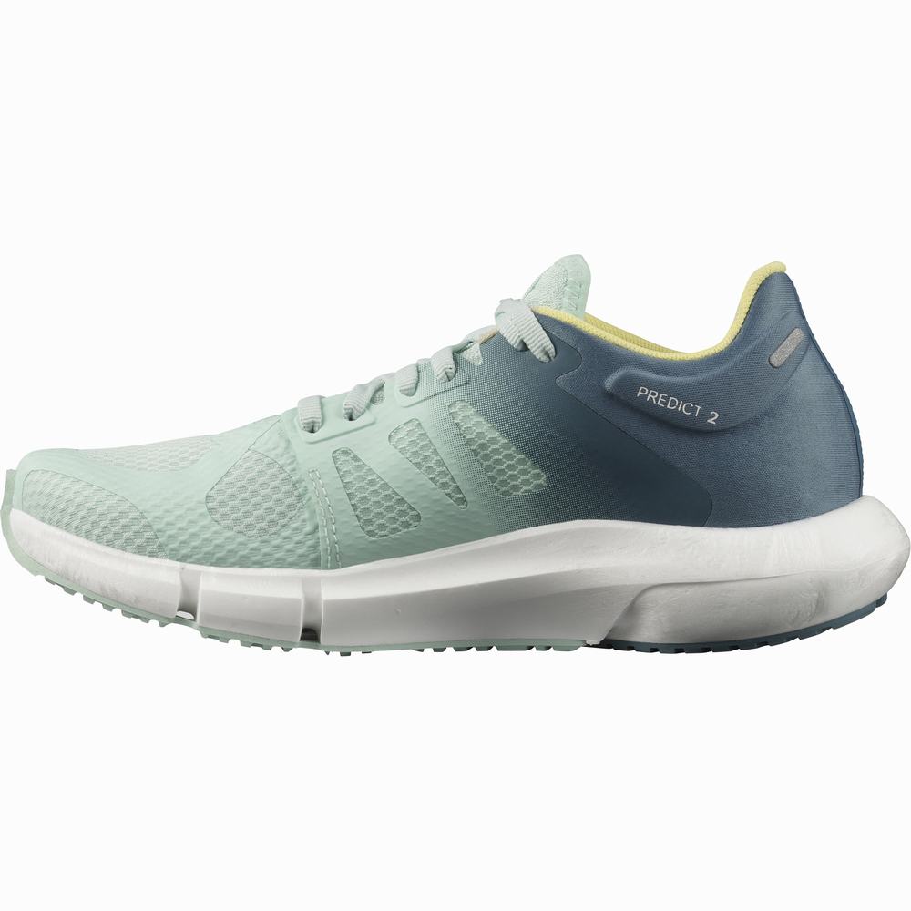 Chaussures Running Salomon Predict 2 Femme Bleu | France-2519746