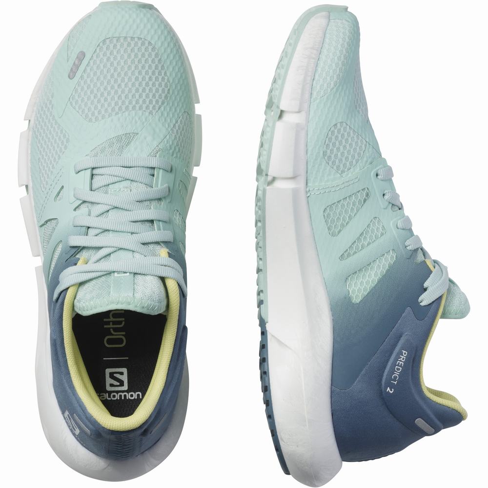 Chaussures Running Salomon Predict 2 Femme Bleu | France-2519746