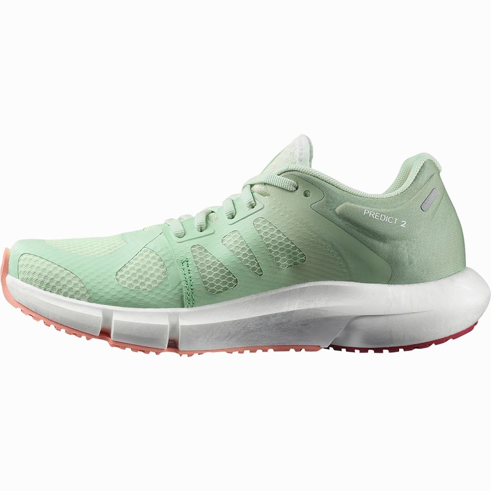 Chaussures Running Salomon Predict 2 Femme Grise Vert | France-8173496