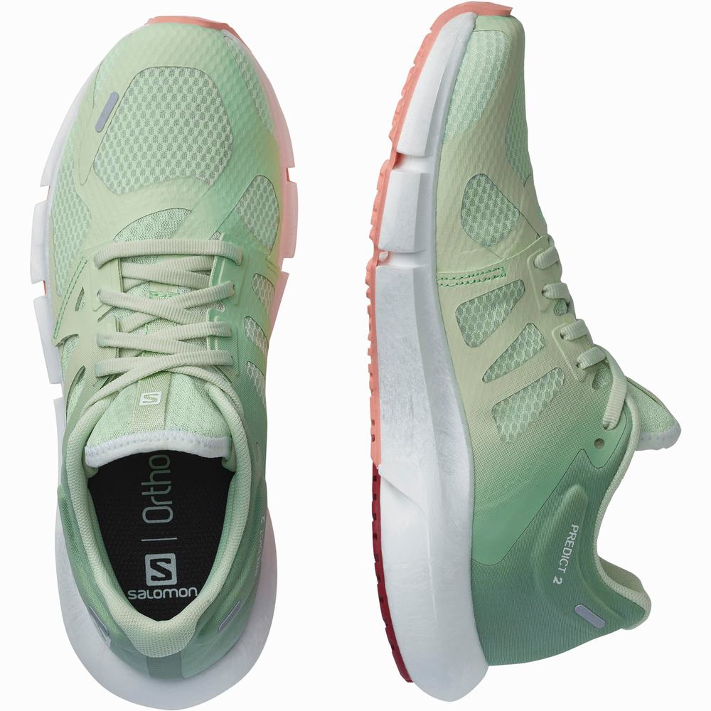 Chaussures Running Salomon Predict 2 Femme Grise Vert | France-8173496