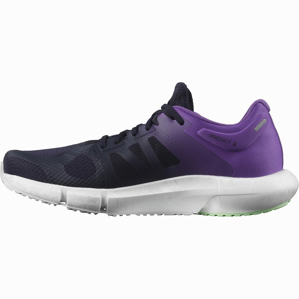 Chaussures Running Salomon Predict 2 Homme Bleu Marine Violette | France-2684971