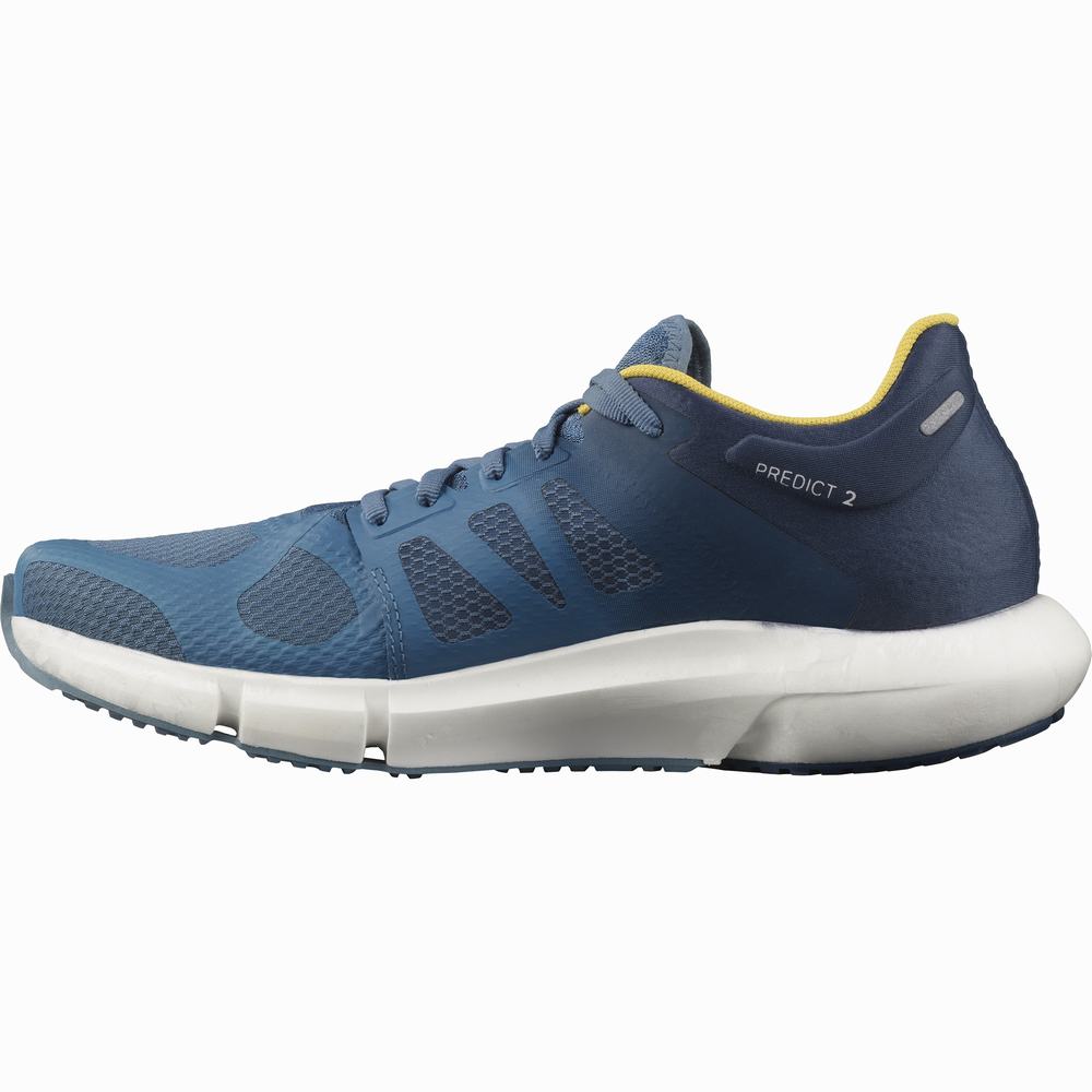 Chaussures Running Salomon Predict 2 Homme Bleu | France-4738195