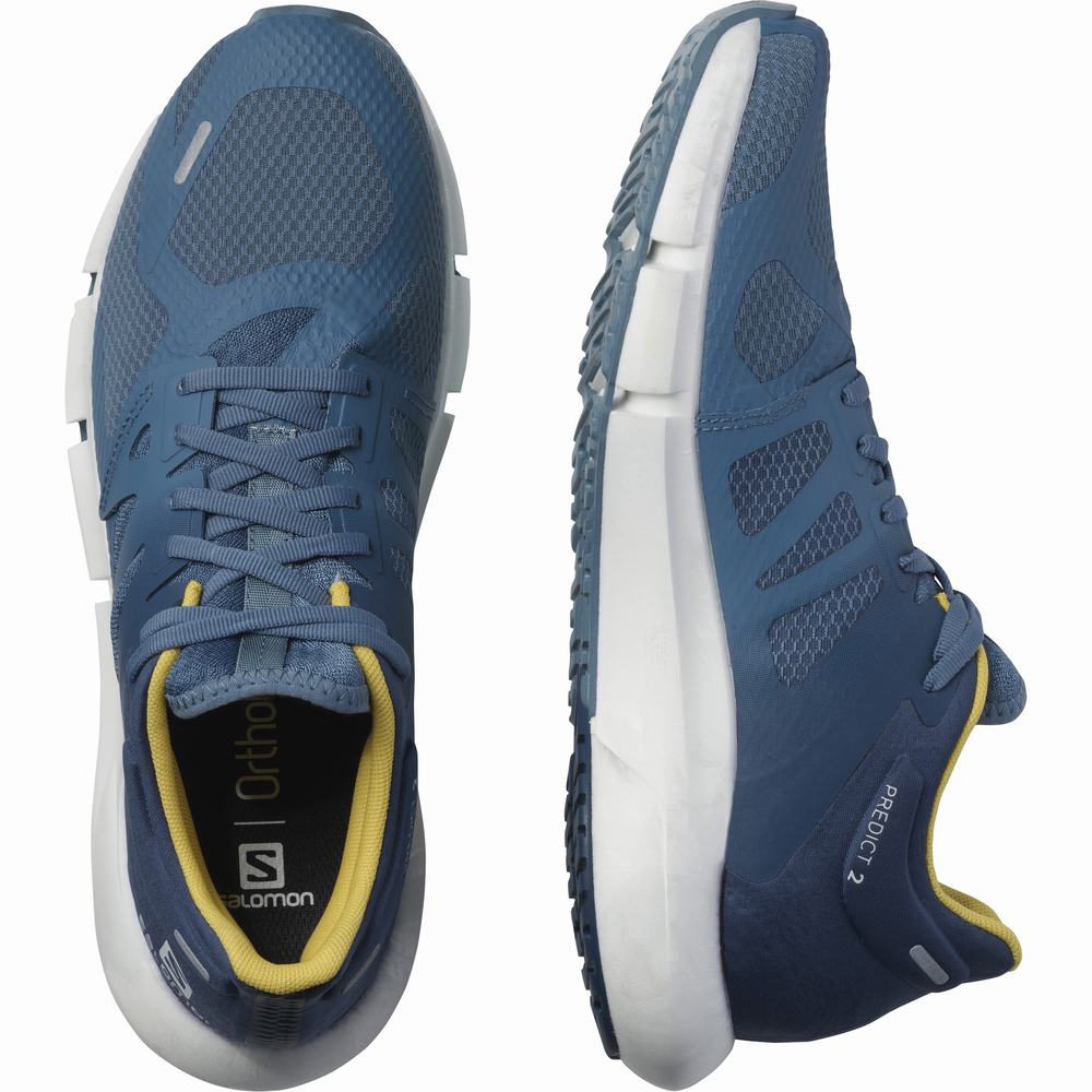 Chaussures Running Salomon Predict 2 Homme Bleu | France-4738195