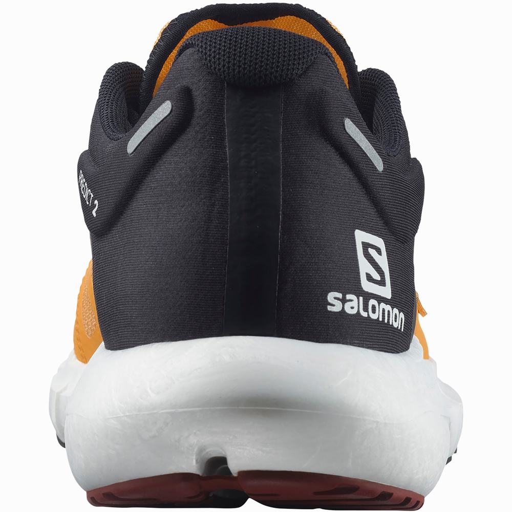 Chaussures Running Salomon Predict 2 Homme Orange Noir Marron | France-5297483