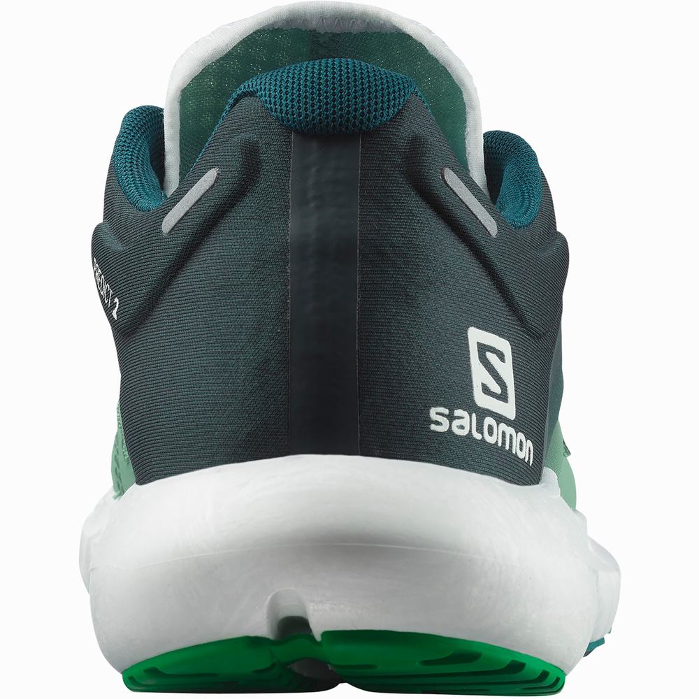 Chaussures Running Salomon Predict 2 Homme Vert Clair Vert Foncé | France-6821093