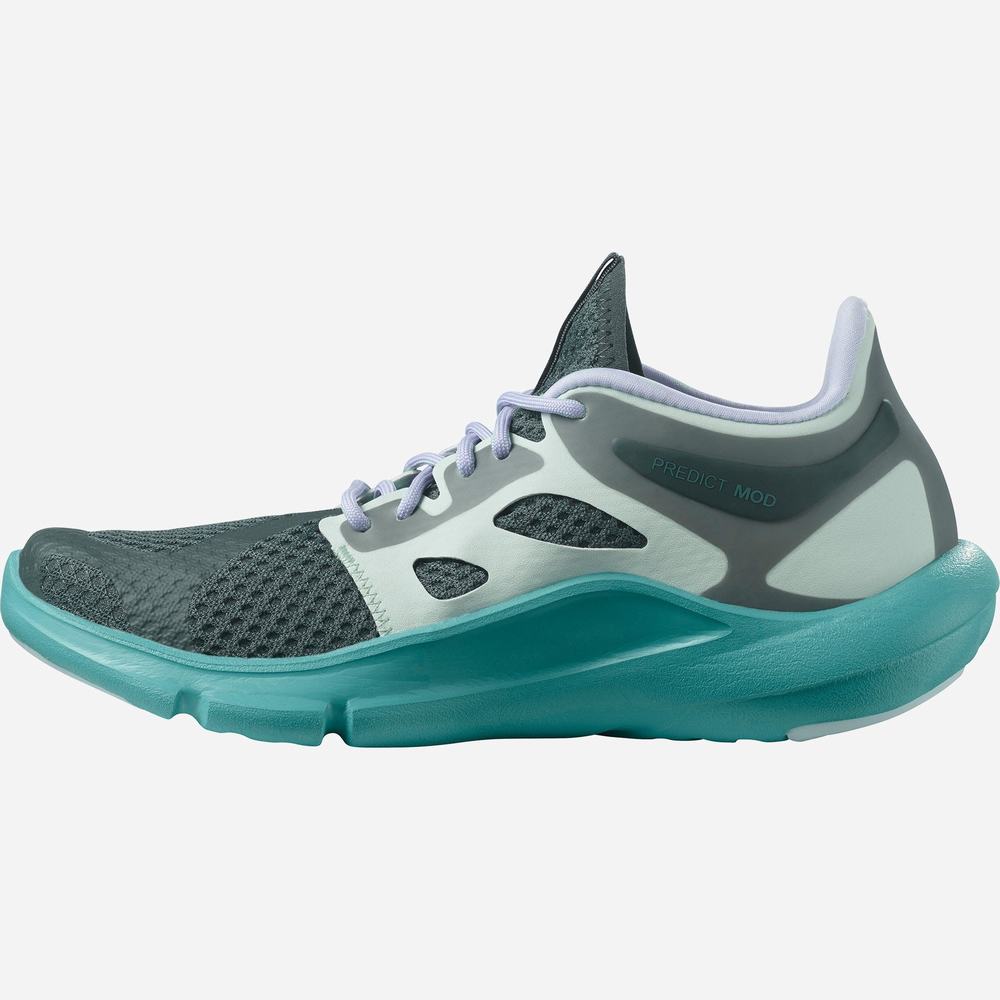 Chaussures Running Salomon Predict Mod Femme Grise Vert Violette | France-1789652