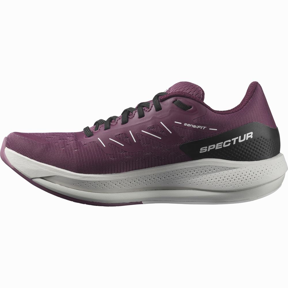 Chaussures Running Salomon Spectur Femme Violette | France-3572081