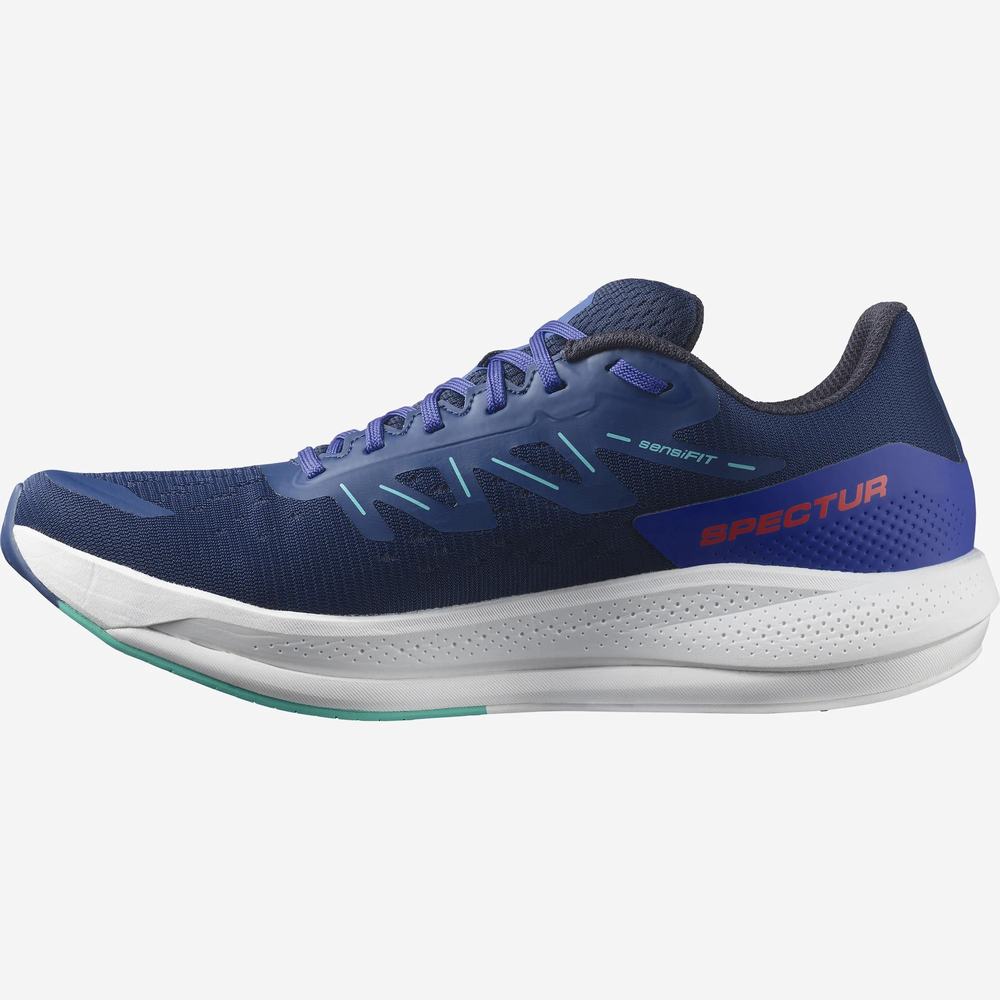 Chaussures Running Salomon Spectur Homme Bleu Menthe | France-2593640