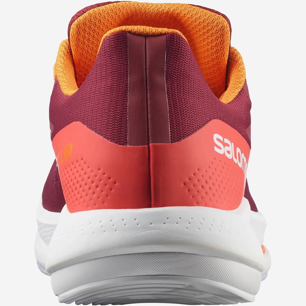 Chaussures Running Salomon Spectur Homme Rouge Orange Violette | France-2640175