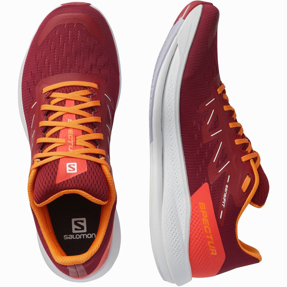 Chaussures Running Salomon Spectur Homme Rouge Orange Violette | France-2640175